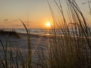 A beach scene with tall grasses in the foreground and the sun setting over the ocean.