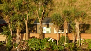Una casa moderna immersa nella vegetazione tropicale, con palme e arbusti vari.