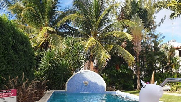 A swimming pool with a dolphin statue, surrounded by palm trees and a tiled structure.