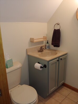 Combined shower/tub, hair dryer, towels, soap