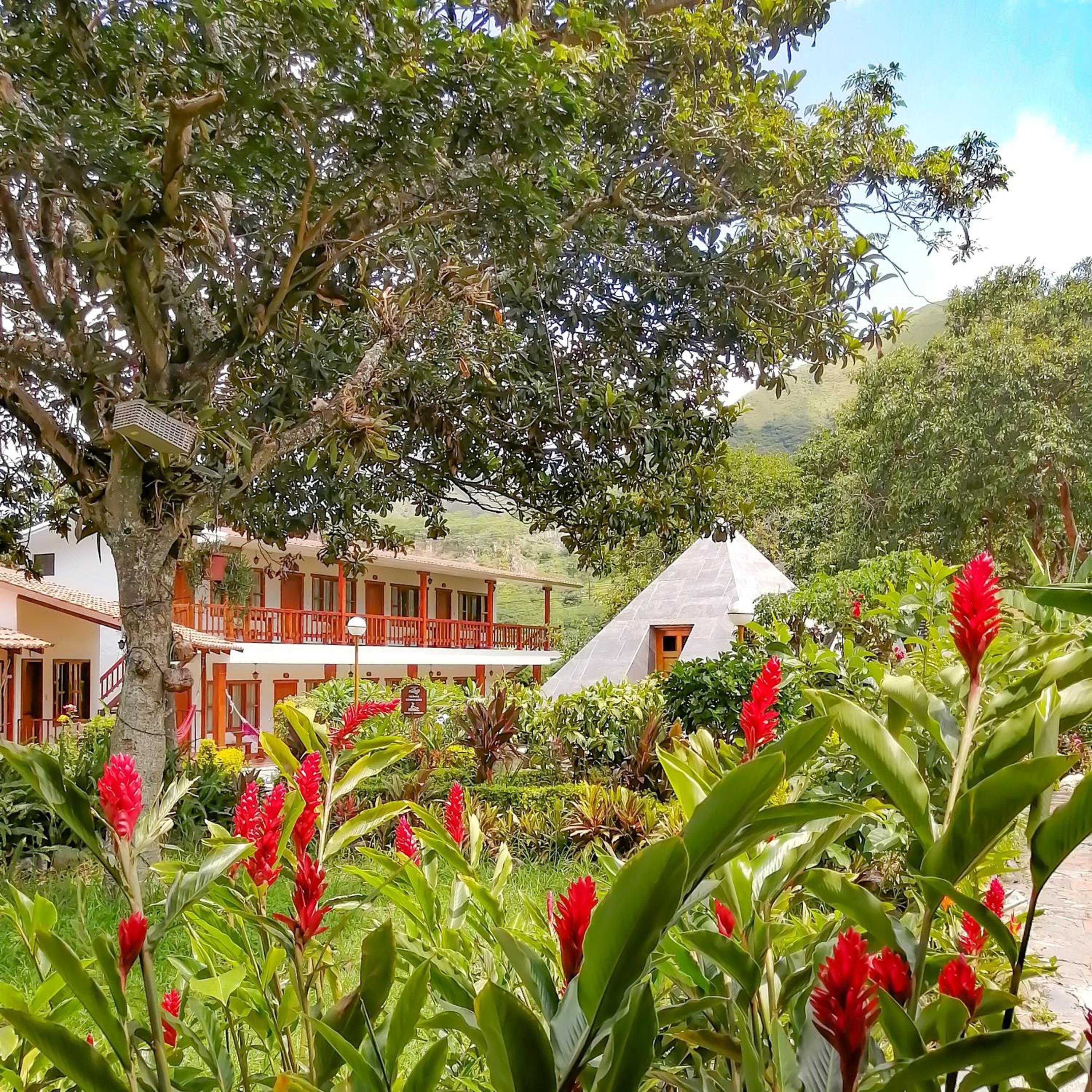 Un hotel con un gran árbol en primer plano, rodeado de abundante vegetación y flores rojas.
