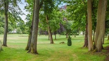 Terrain de l’hébergement
