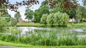 Ein friedlicher Park mit Teich, üppigem Grün und Bäumen.
