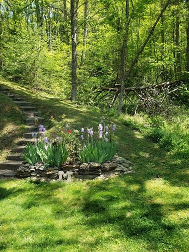 Dog Friendly Moonfall Cottage Gatlinburg 