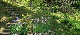 Dog Friendly Moonfall Cottage Gatlinburg 