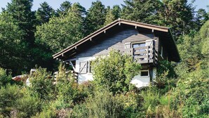 Una cabana rústica envoltada per un bosc dens.