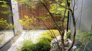 A garden with a wooden fence, gravel path, and various plants.