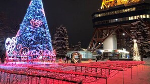 A large illuminated Christmas tree and a Ferris wheel at night. - Sapporo Princess Hotel - Hostel (Sapporo)