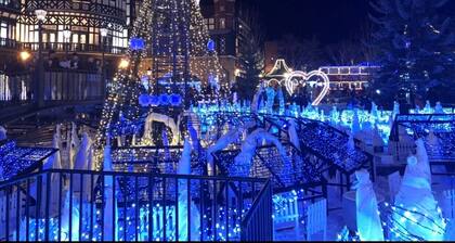 Sapporo Princess Hotel - Hostel