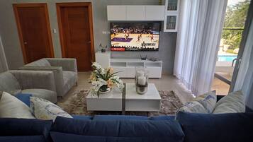 65-inch LED TV with cable channels, TV, Netflix