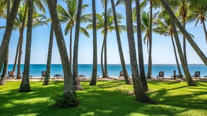 A beach with palm trees and lounge chairs facing the ocean.