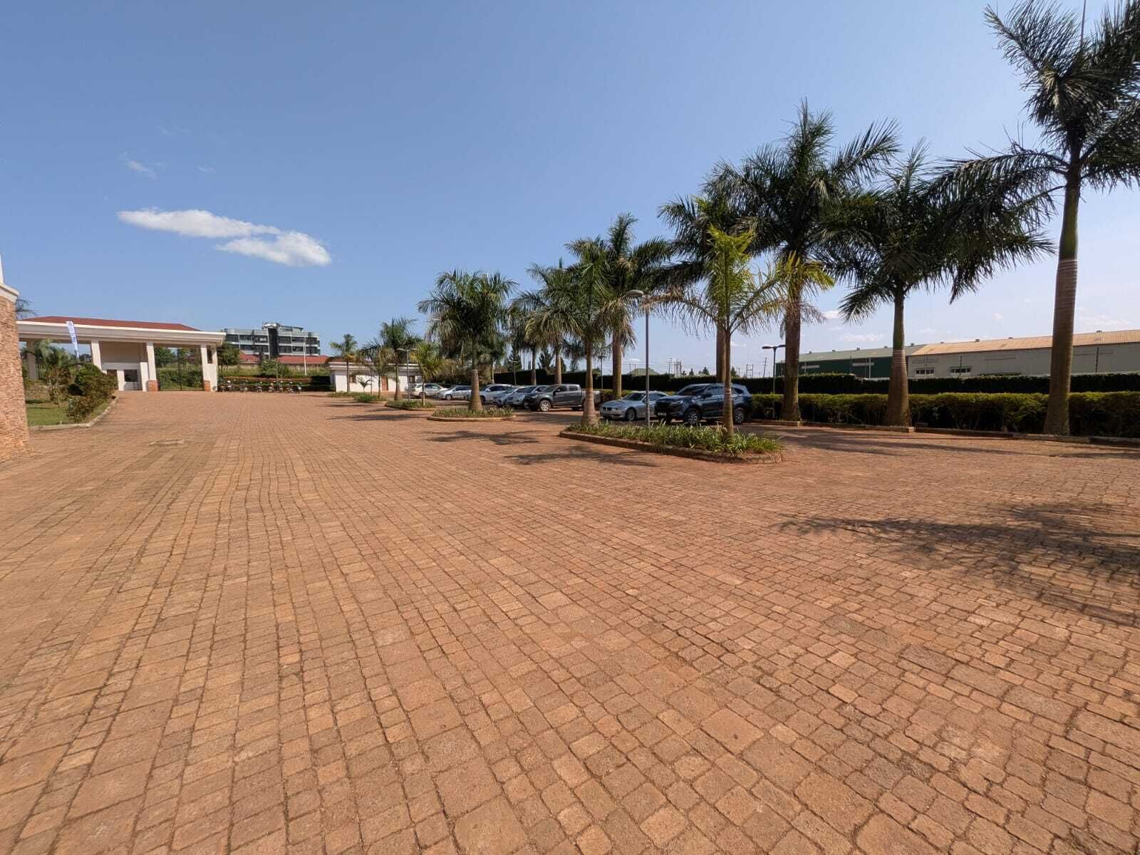 A paved parking area with cars, palm trees, and buildings in the background.