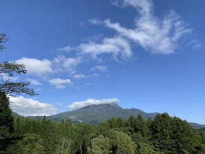 雙床房 | 露台/庭院
