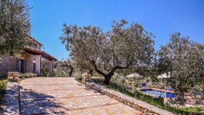 A stone pathway leading to a stone building with a tiled roof, surrounded by olive trees and a clear blue sky. - House with private pool, air conditioning and stunning views!!! (Montecchio)