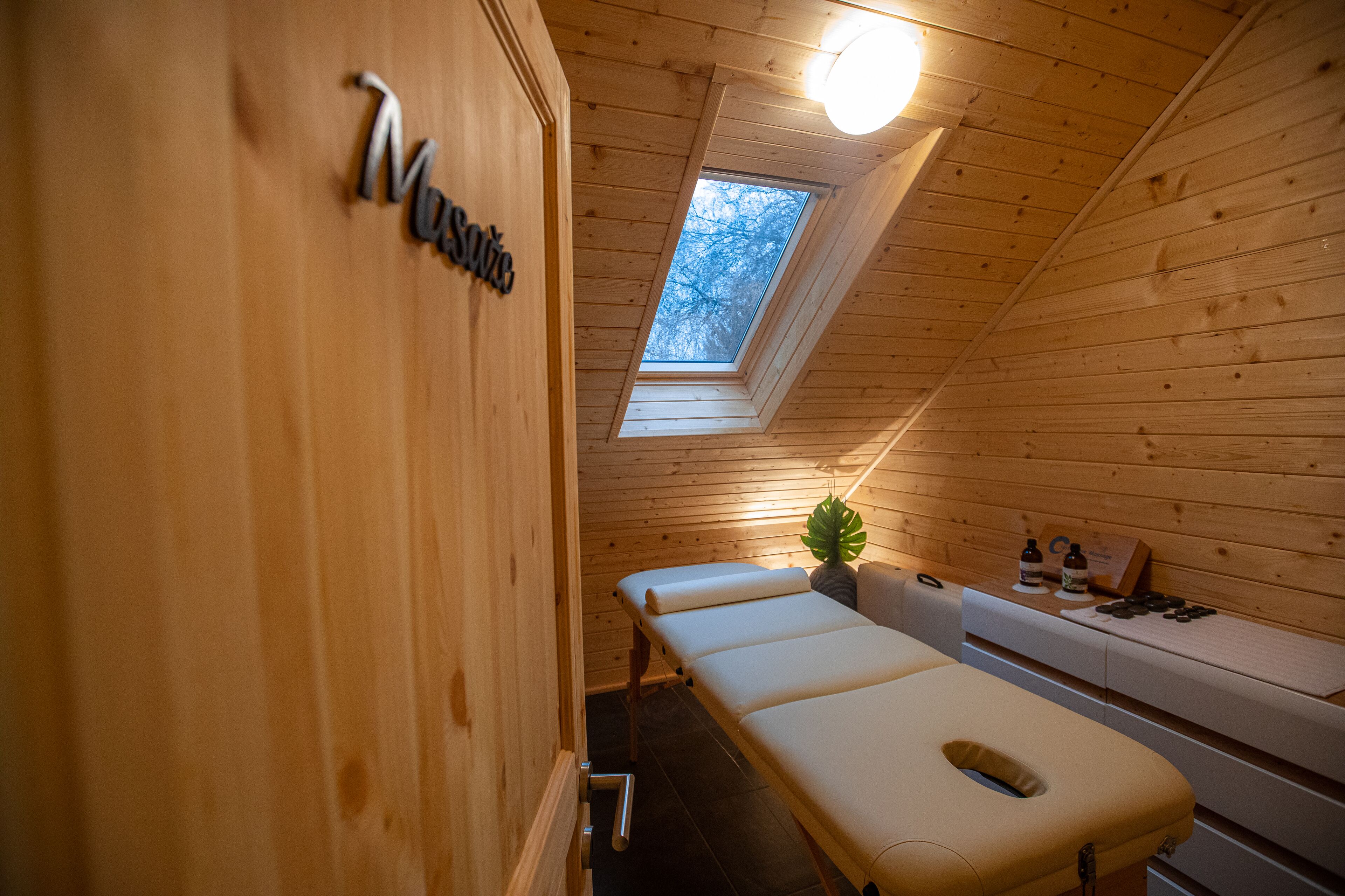 A wooden room with a skylight, a massage table, and a small plant.