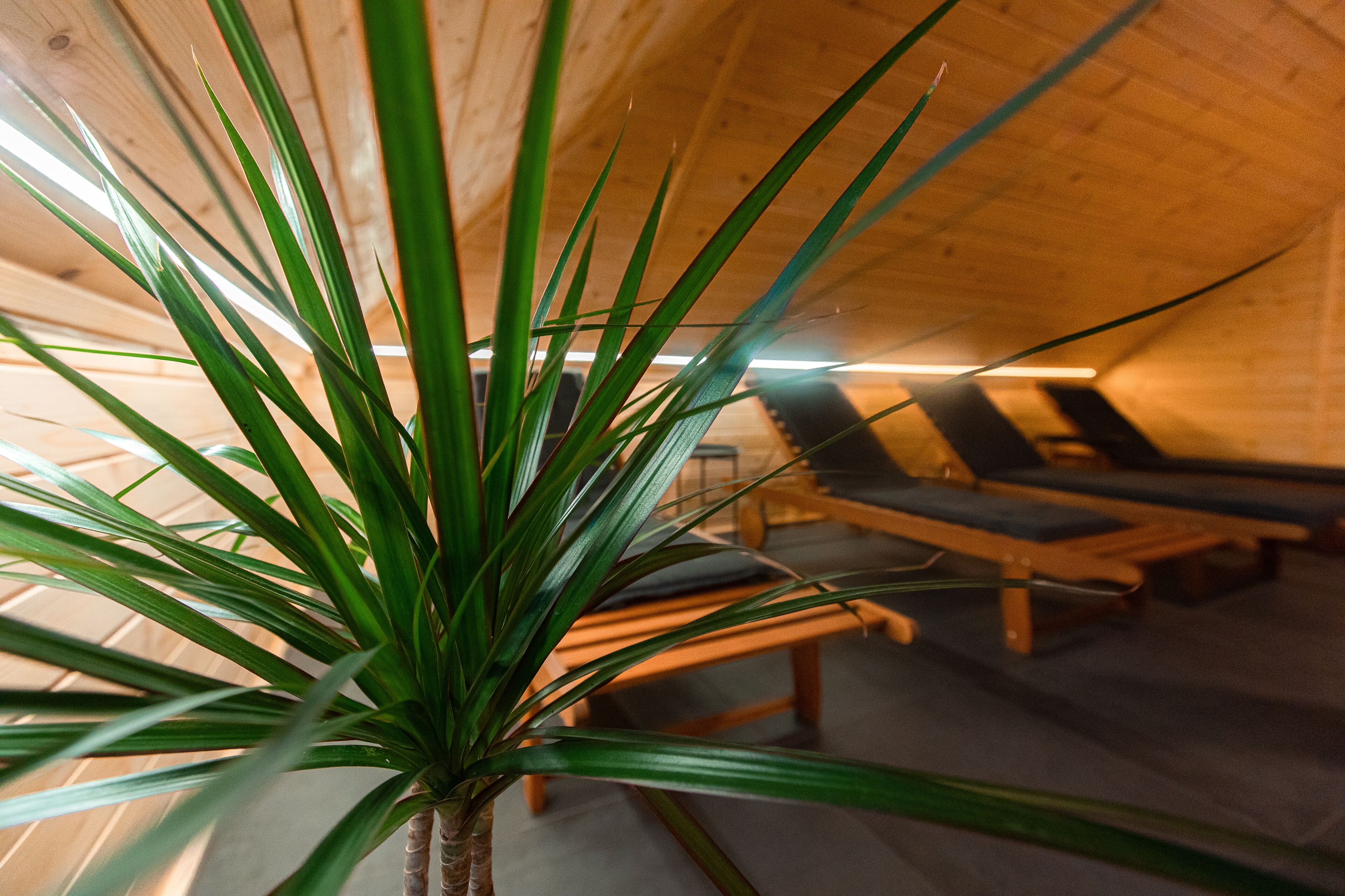 Massasje med varme steiner, svensk massasje og massasje