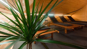 A wooden interior with a plant in the foreground and lounge chairs in the background. - Kozjanski dvor (Kozje)