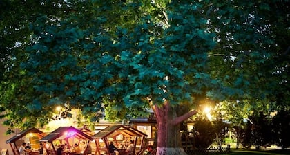 Haller Wooden Houses - Campsite