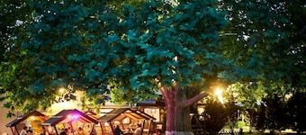 Haller Wooden Houses - Campsite