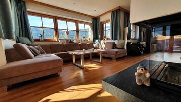 Télévision, cheminée, jeux vidéo, lecteur de DVD