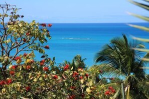A coastal view with a clear sky, a body of water, and tropical vegetation. - 2-bedroom Apartment With Seaviews (St. John's)