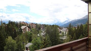 Family Apartment, 3 Bedrooms, Non Smoking, Kitchen | Mountain view