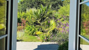 Vista a través de una ventana de un jardín exuberante con diversas plantas y flores.