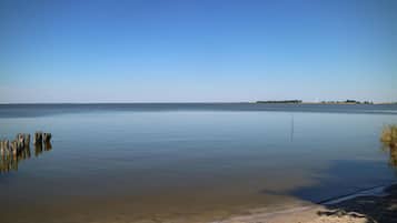 Playa en los alrededores y pesca