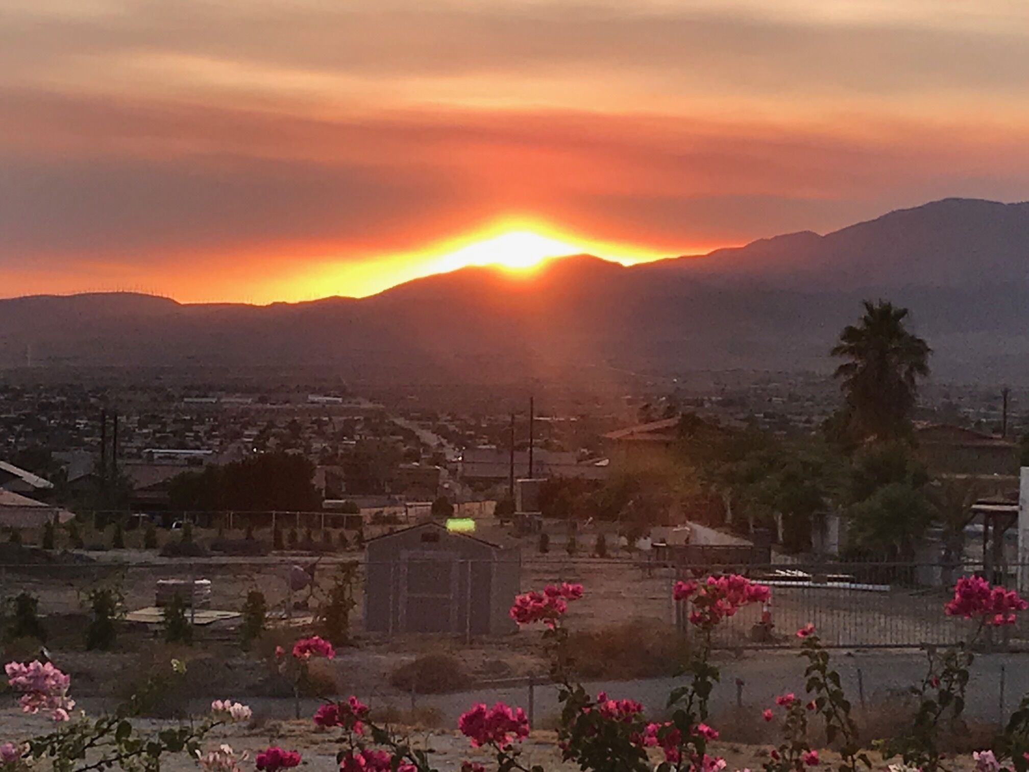 Dory's Hideaway: Magnificent Sunsets, Close to Joshua tree and Palm Springs