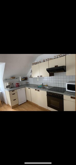 Fridge, microwave, stovetop, dishwasher