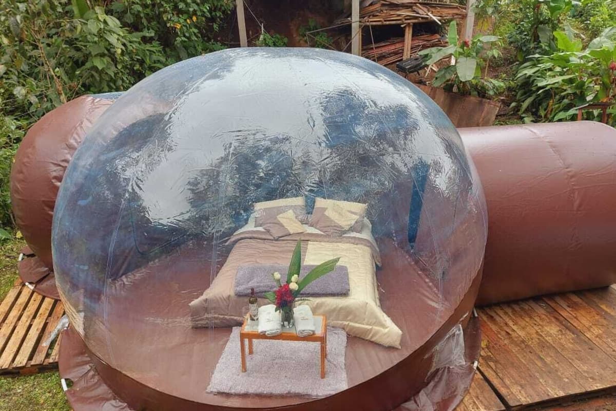 Premium Tent | Garden view