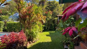 Unclassified image, 3 of 79, button - Mindo GlamBird Glamping &amp; Lodge (Mindo)