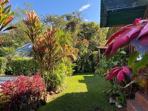 Garden - Mindo GlamBird Glamping &amp; Lodge (Mindo)