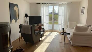 Smart TV, chimenea y libros