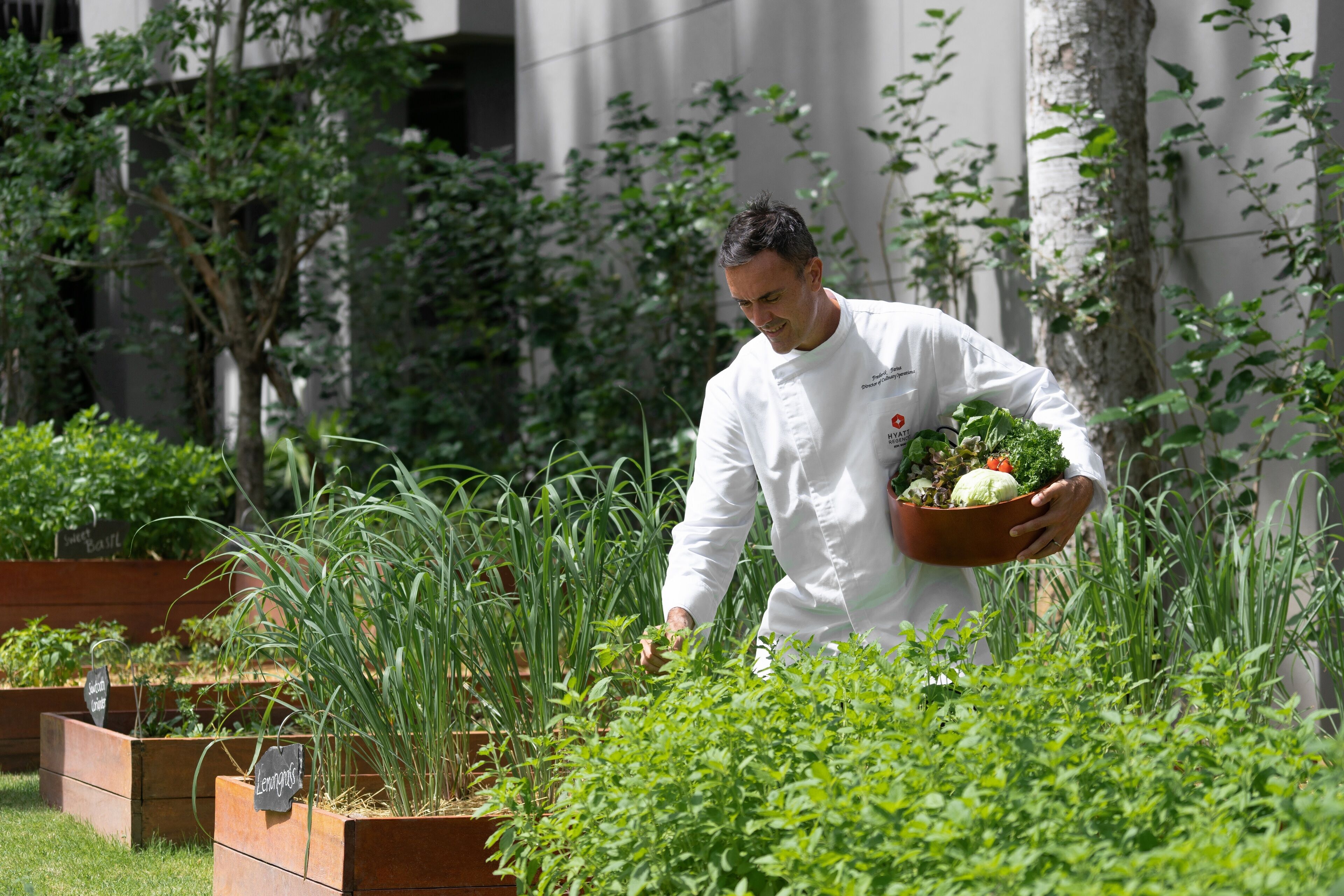 Foto - Hyatt Regency Koh Samui