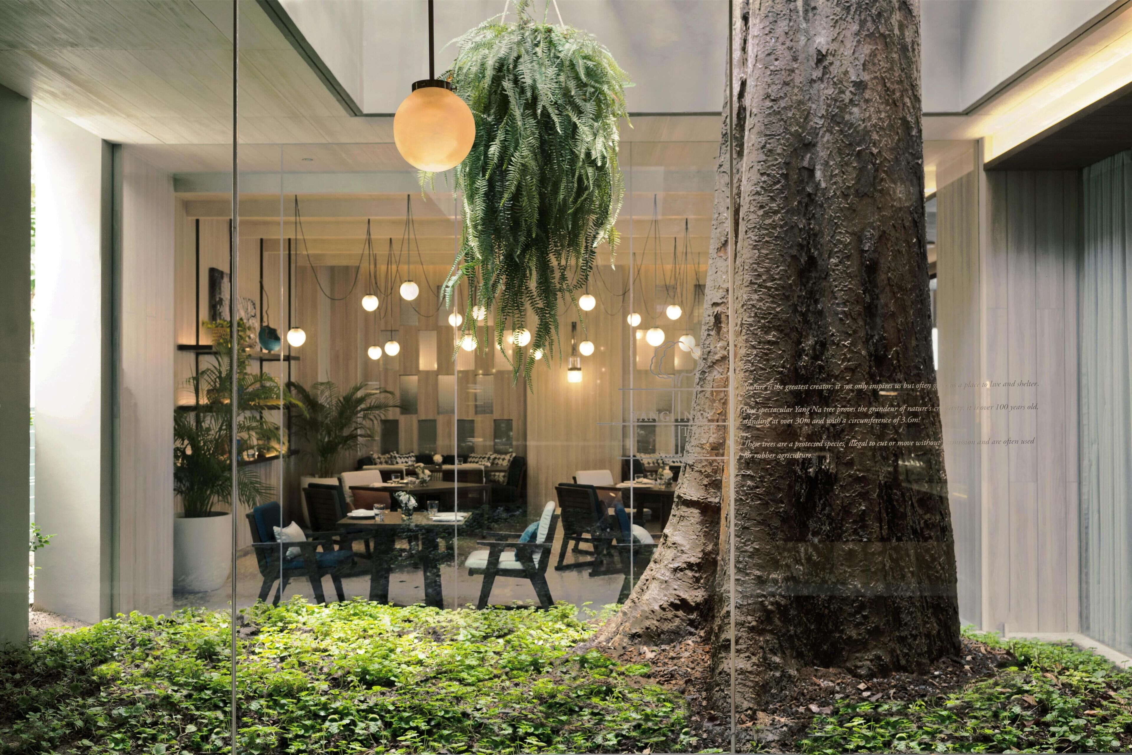 Un espacio interior moderno con un gran árbol, plantas colgantes y una zona de comedor con mesas y sillas.