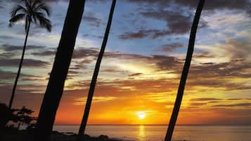 Private beach, beach umbrellas, beach towels, snorkeling