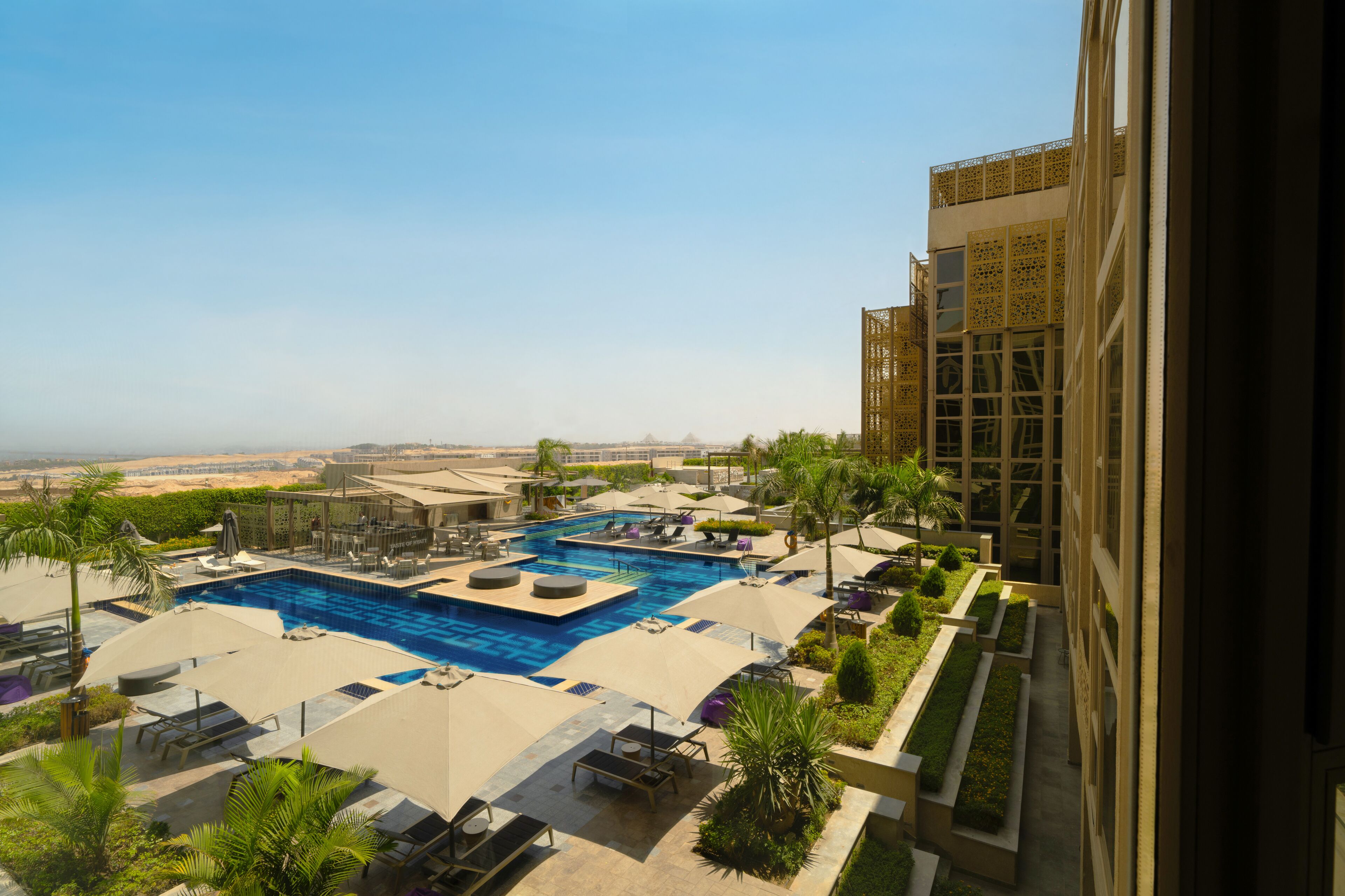 A rooftop pool area with lounge chairs and umbrellas, surrounded by greenery and a view of the desert landscape.