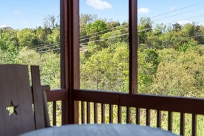Interior - Luxurious Walk-in Cabin with Private Screened Deck in the Heart of Branson (Branson)