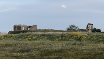 Esterni