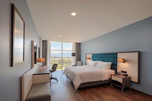 Premium bedding, down comforters, in-room safe, desk