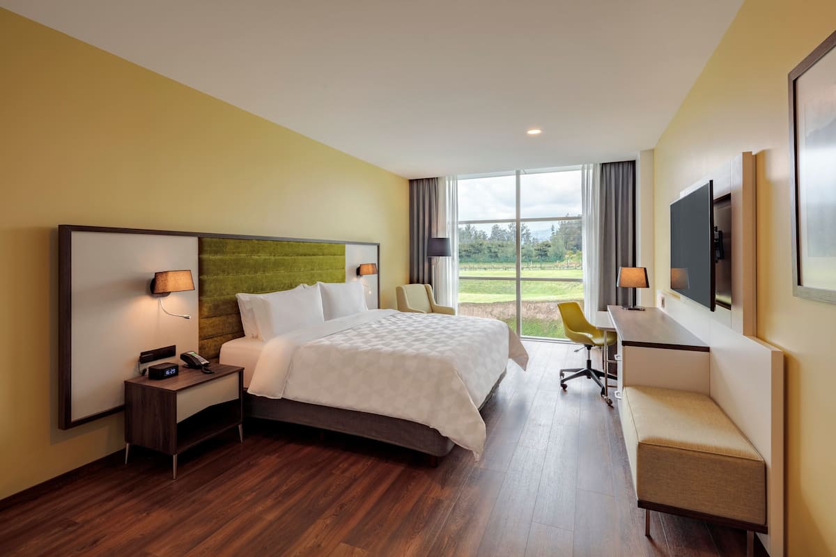 A hotel room with a large bed, a desk, a chair, and a TV.
