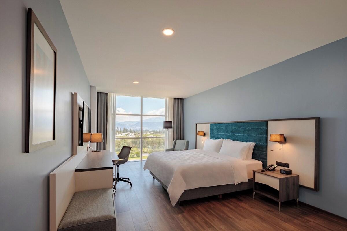 Premium bedding, down duvets, in-room safe, desk