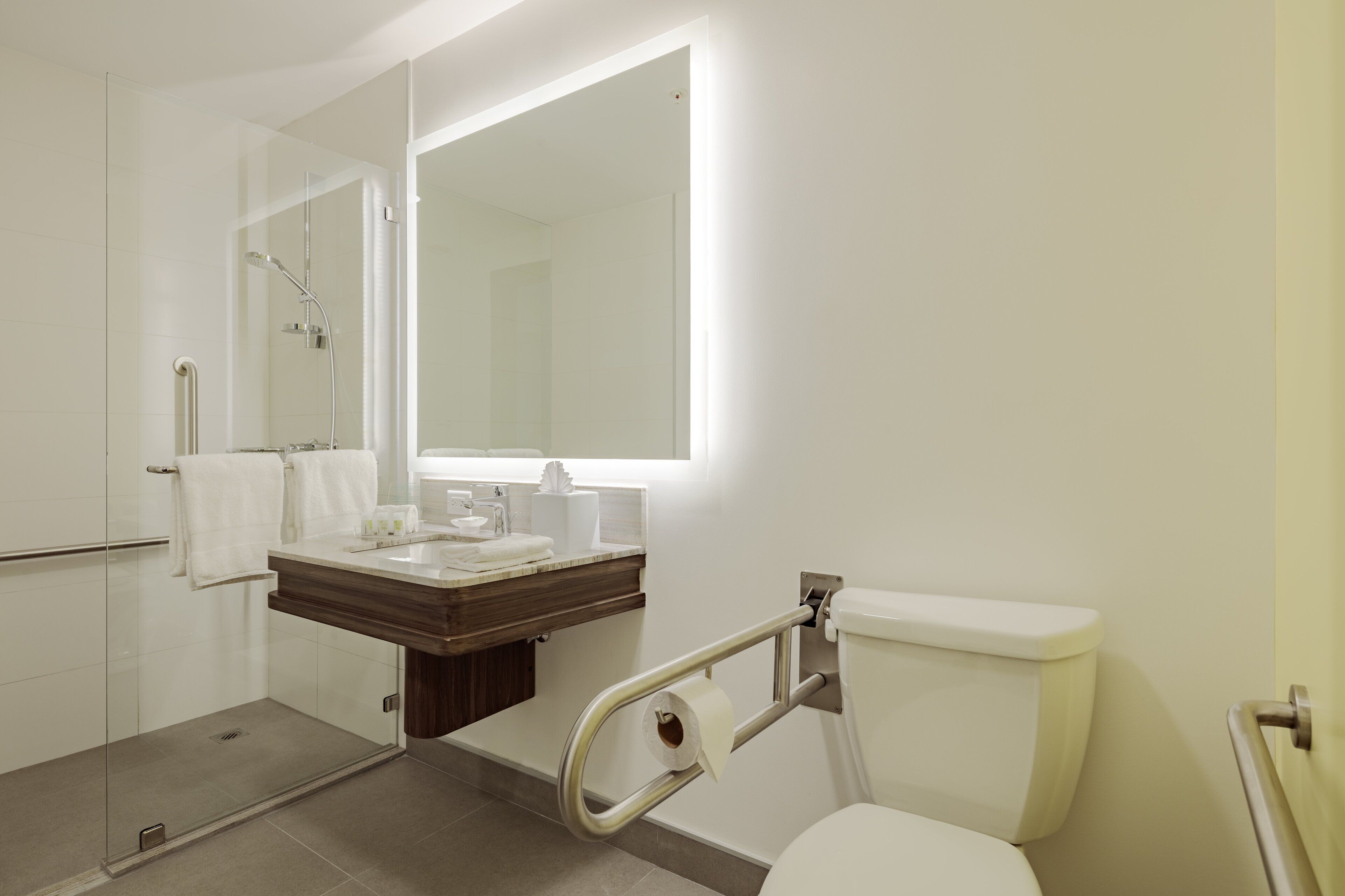 Standard Room, 1 Katil Raja (King), Accessible | Bilik Mandi | Pancuran mandi, pengering rambut 
