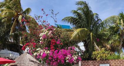 Cabañas Puerto Morelos