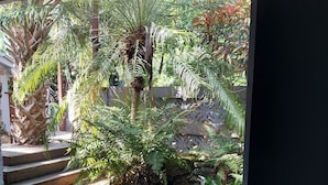 A view of a garden with various plants and a small water feature.