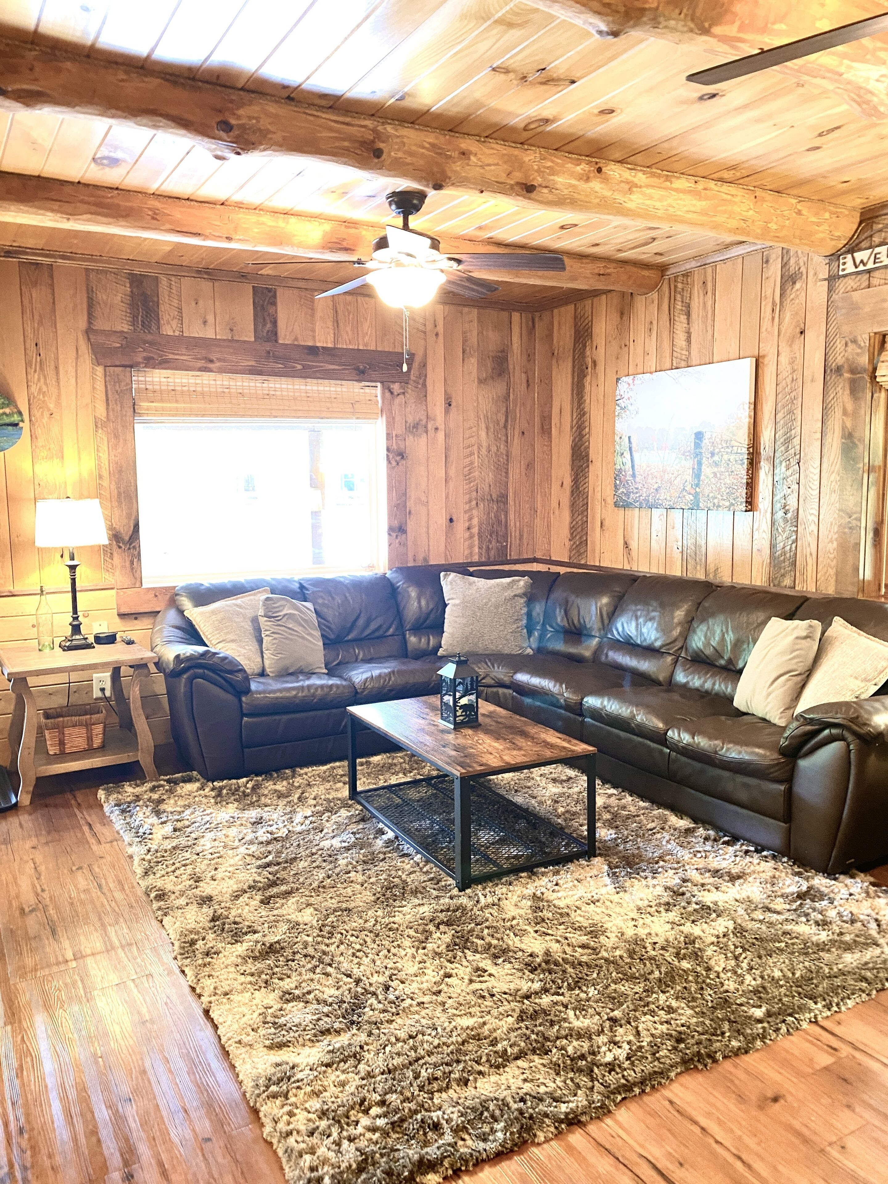 TV connectée, cheminée, lecteur de DVD