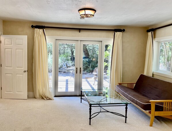 TV, fireplace, DVD player, books