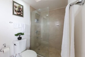 Hair dryer, towels, soap, shampoo