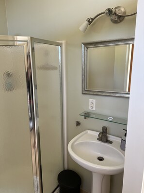 Shower, towels, toilet paper